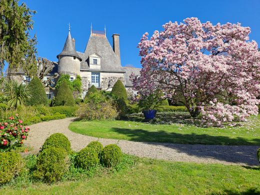 Castle in Ingrandes, Maine-et-Loire