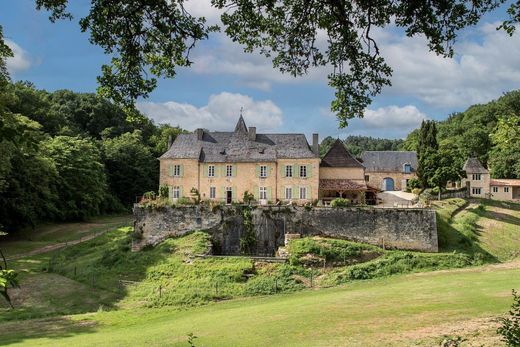 Montignac, Dordogneの城