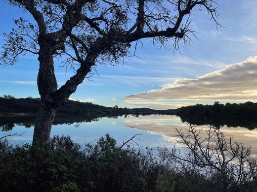 豪宅  Porto-Vecchio, South Corsica