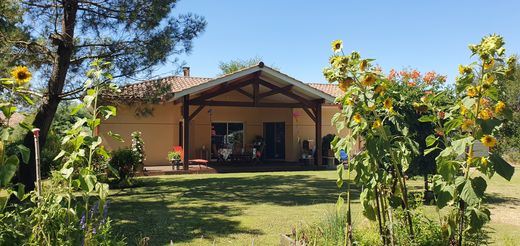Maison de luxe à Sanguinet, Landes