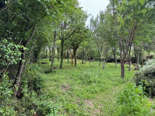 Land in Assas, Hérault