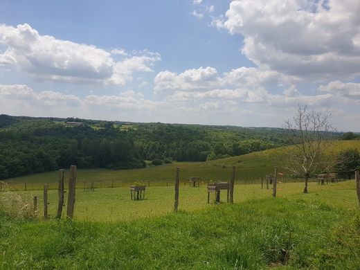 Montauban, Tarn-et-Garonneの高級住宅