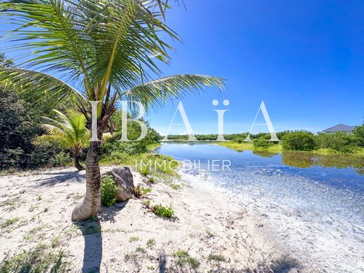 豪宅  Saint Martin