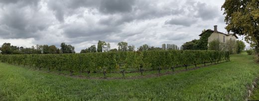 Arsa Saint-Émilion, Gironde