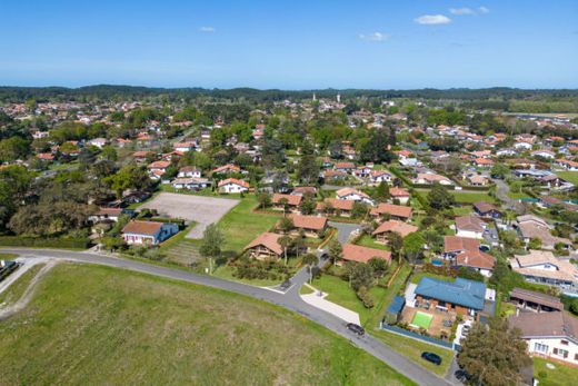 Land in Seignosse, Landes