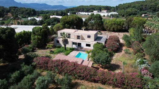 Luxus-Haus in Carqueiranne, Var