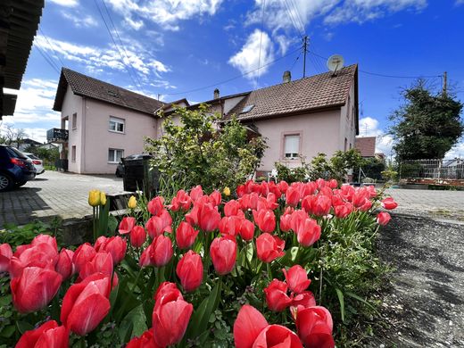 호화 저택 / Saint-Louis, Haut-Rhin