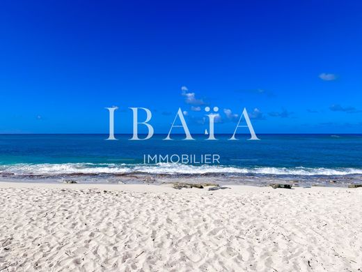 토지 / Saint Martin