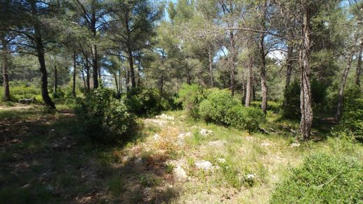 토지 / Ollioules, Var