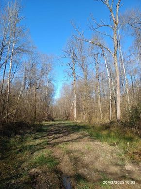 地皮  Presles-en-Brie, Seine-et-Marne