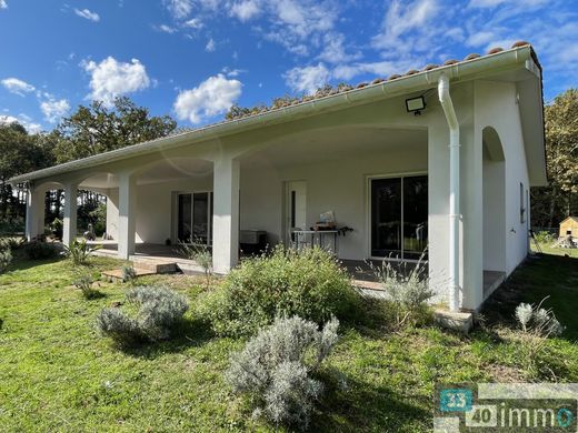 Maison de luxe à Belin-Béliet, Gironde