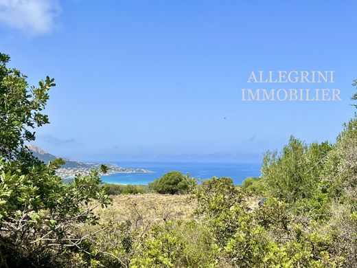 Grond in Corbara, Upper Corsica