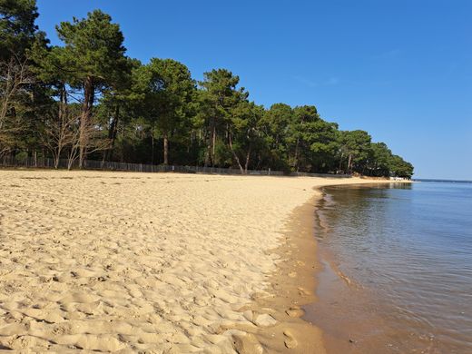 Villa in Lège-Cap-Ferret, Gironde