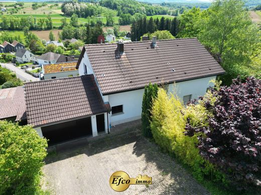 Luxury home in Hagenthal-le-Bas, Haut-Rhin