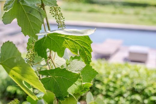 ‏בתי יוקרה ב  רמטואל, Var