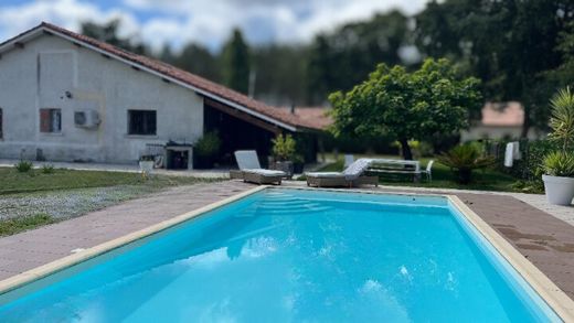 Luxus-Haus in Mimizan, Landes