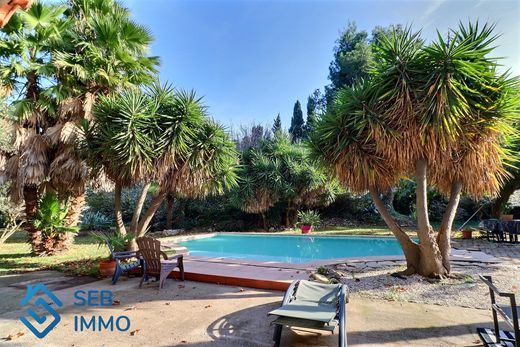 Элитный дом, Saint-Cyprien, Pyrénées-Orientales