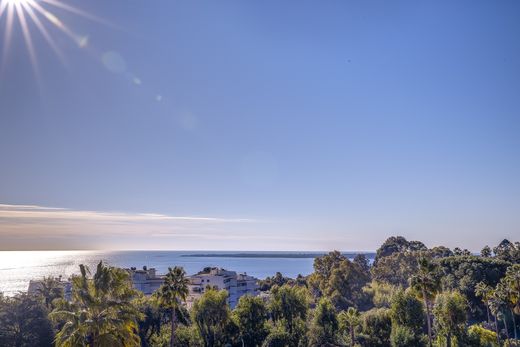 Apartment / Etagenwohnung in Vallauris, Alpes-Maritimes