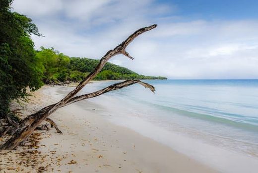 地皮  Capesterre-de-Marie-Galante, Guadeloupe