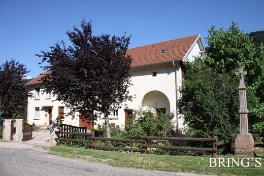 Rural or Farmhouse in Ban-sur-Meurthe-Clefcy, Vosges