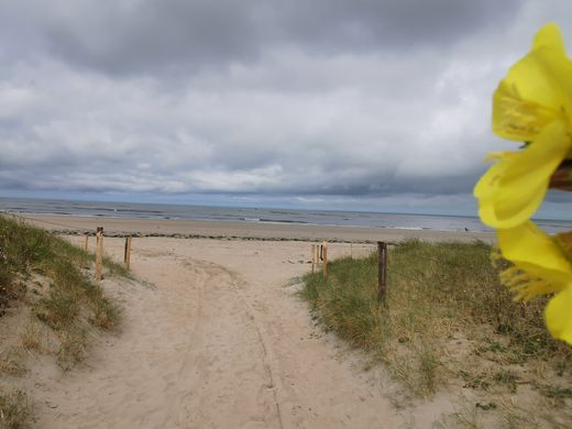 Casa di lusso a Noirmoutier-en-l'Île, Vandea