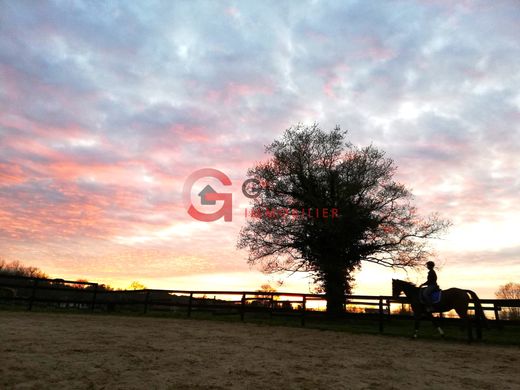 Luxe woning in Grenade-sur-l'Adour, Landes