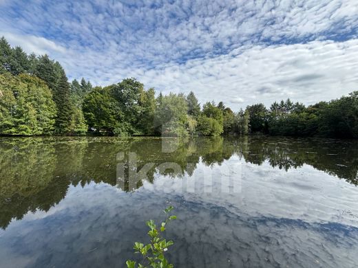 Casa di lusso a Pierrefitte-sur-Sauldre, Loir-et-Cher