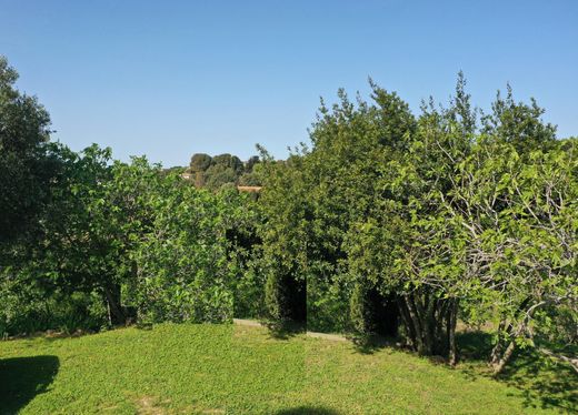 Grundstück in Balaruc-le-Vieux, Hérault