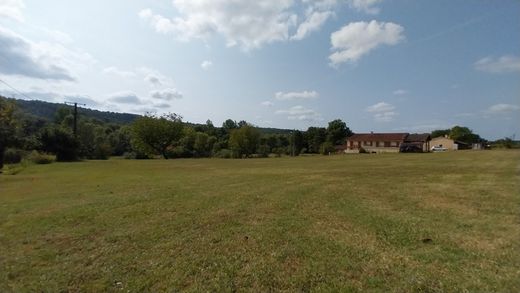 토지 / Château-l'Évêque, Dordogne