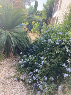ﺷﻘﺔ ﻓﻲ مارسيليا, Bouches-du-Rhône