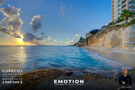 复式住宅  Saint Martin