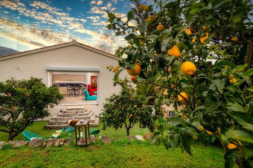 빌라 / Ajaccio, South Corsica