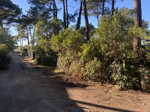 호화 저택 / Lège-Cap-Ferret, Gironde