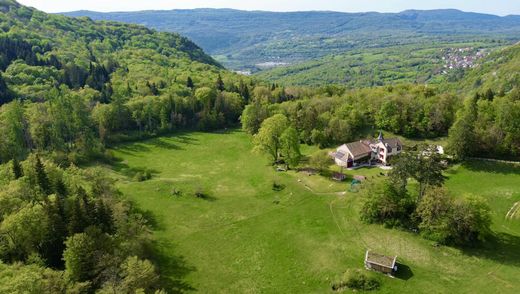 Casa de lujo en Oyonnax, Ain