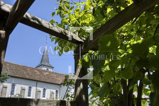 호화 저택 / Pringy, Haute-Savoie