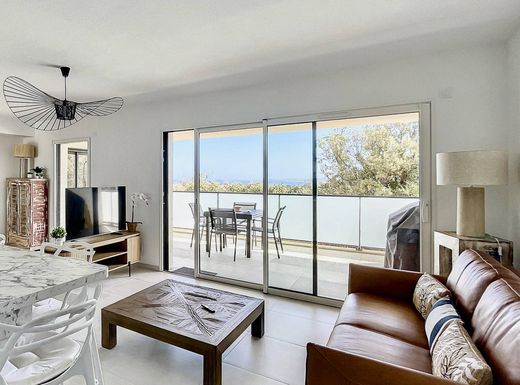 Daire Calvi, Upper Corsica