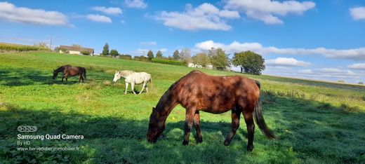 Rural ou fazenda - Marolles-les-Braults, Sarthe