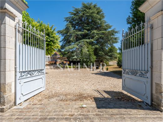 Luxury home in Francueil, Indre and Loire