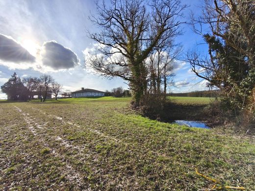 Maison de luxe à L'Isle-Jourdain, Gers