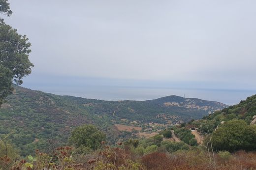 Teren w Santa-Reparata-di-Balagna, Upper Corsica