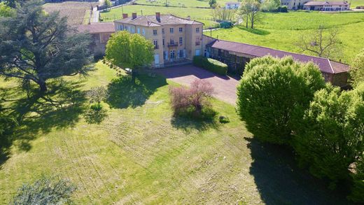 Castle in Roanne, Loire
