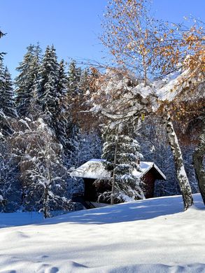 Chalet in Le Grand-Bornand, Haute-Savoie