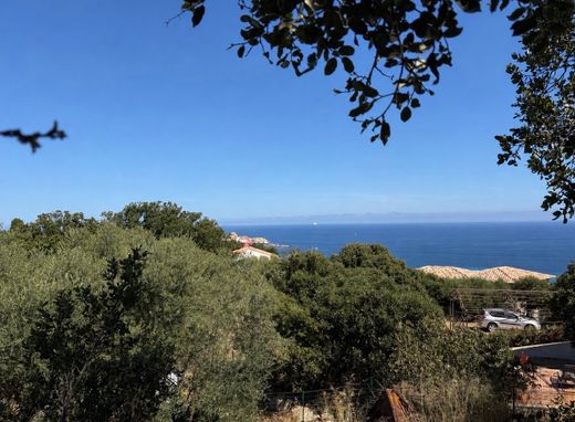 Terreno - Monticello, Alta Córsega