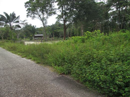 Land in Tonate, Arrondissement de Cayenne