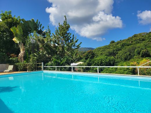 Les Trois-Îlets, Martiniqueの高級住宅