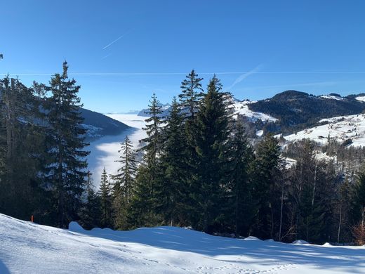 Grundstück in Cohennoz, Savoy