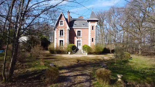 Maison de luxe à Ouzouer-sur-Trézée, Loiret