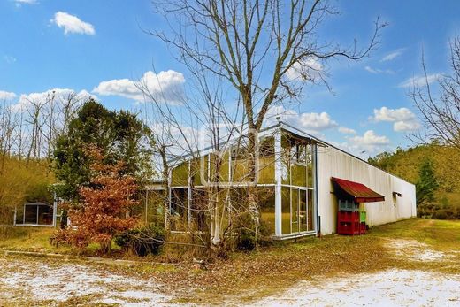 豪宅  Saint-Cirq-Madelon, Lot