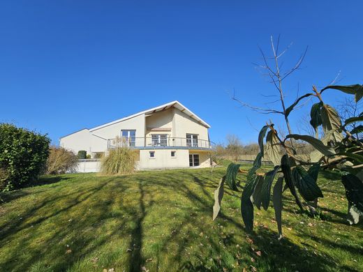 豪宅  Lunéville, Meurthe et Moselle
