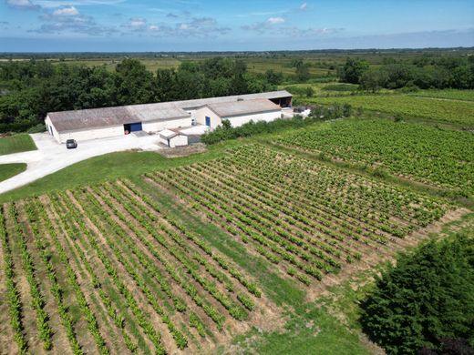 Элитный дом, Bégadan, Gironde